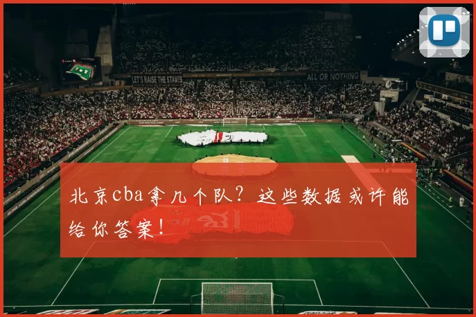 北京cba拿几个队？这些数据或许能给你答案！