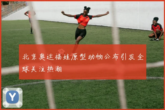 北京奥运福娃原型动物公布引发全球关注热潮