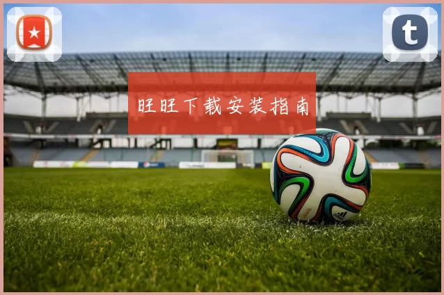 旺旺下载安装指南