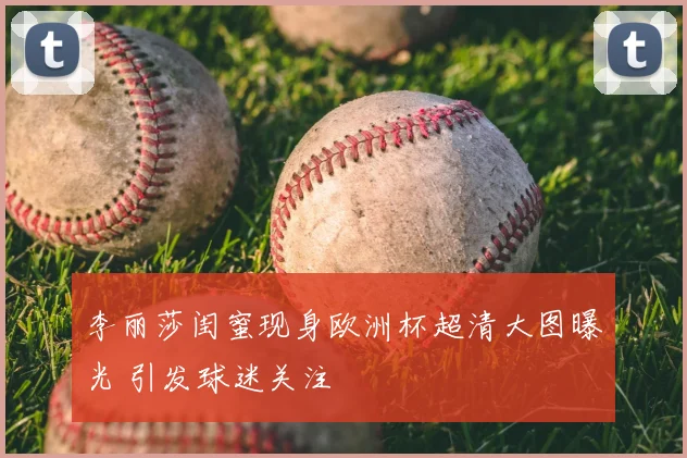 李丽莎闺蜜现身欧洲杯超清大图曝光 引发球迷关注