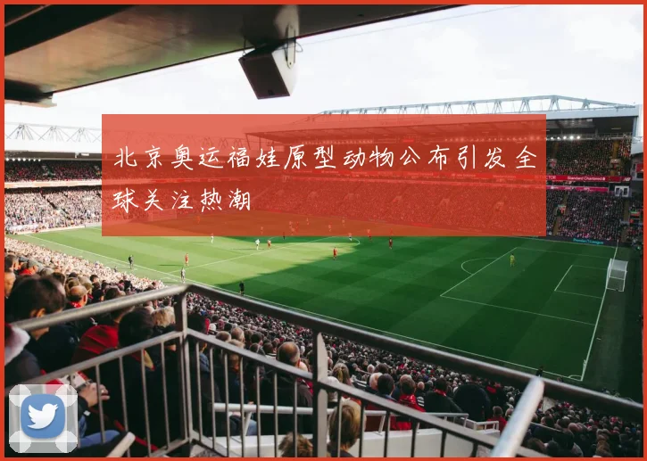 北京奥运福娃原型动物公布引发全球关注热潮