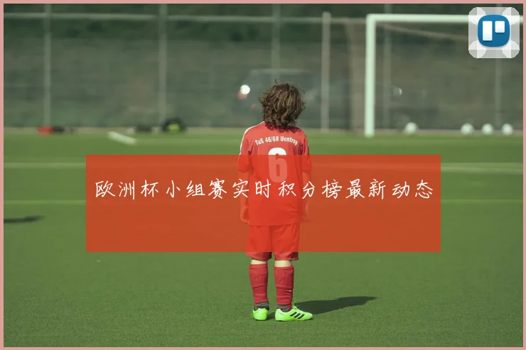 欧洲杯小组赛实时积分榜最新动态