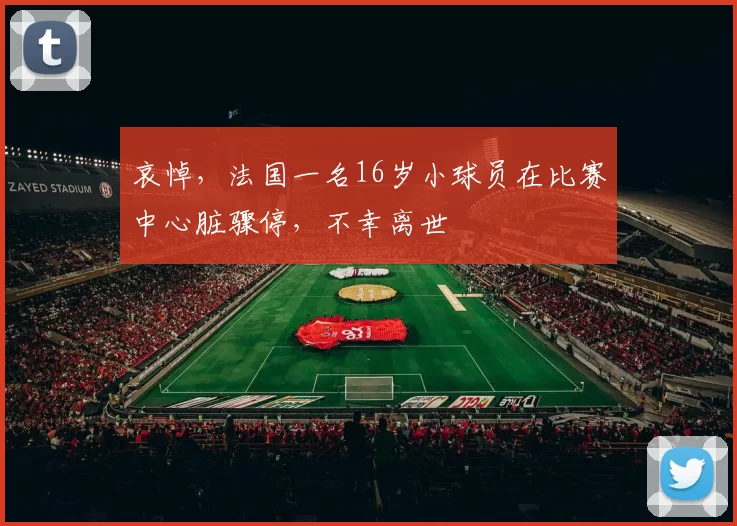 哀悼，法国一名16岁小球员在比赛中心脏骤停，不幸离世