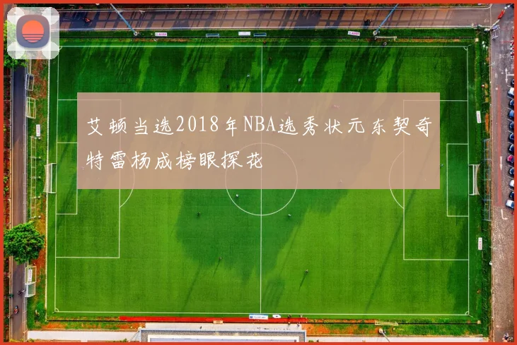 艾顿当选2018年NBA选秀状元东契奇特雷杨成榜眼探花