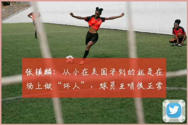 张镇麟：从小在美国学到的就是在场上做“坏人”，球员互喷很正常