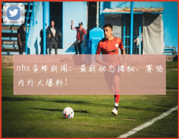 nba黄蜂新闻：最新动态揭秘，赛场内外大爆料！
